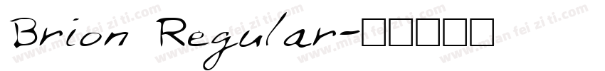 Brion Regular字体转换
